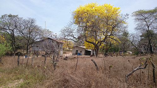 Daule, Ecuador: A region caught between drought and floods